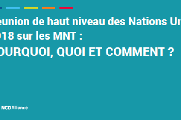 Réunion de haut niveau des Nations Unies 2018 sur les MNT :  Pourquoi, quoi et comment ?